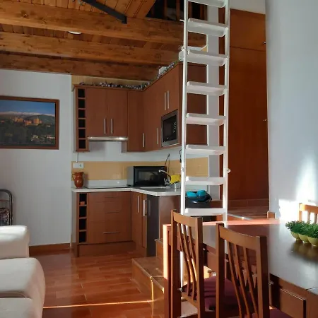 Domus Apartment *