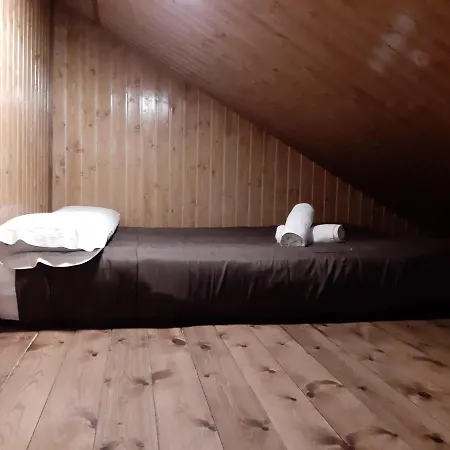 Domus *